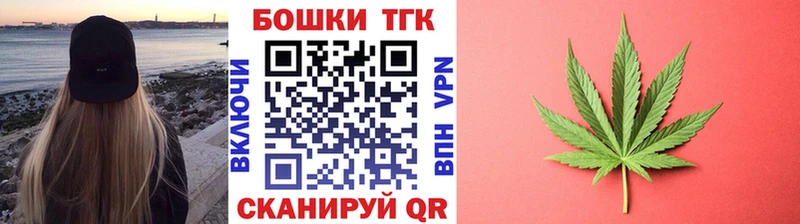 Купить где  Ясногорск  Шишки марихуана SATIVA & INDICA 